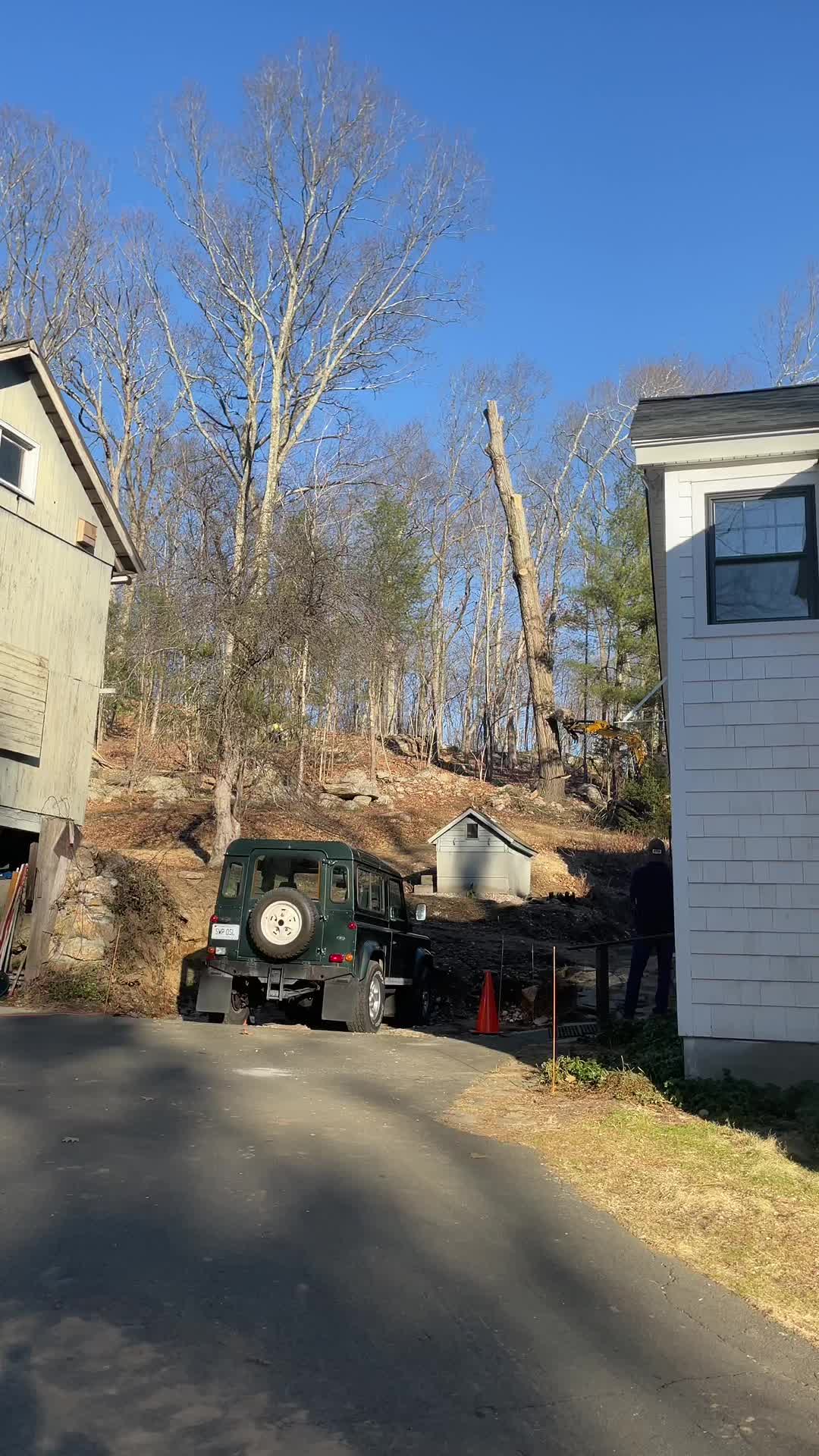 @Chads Tree Service