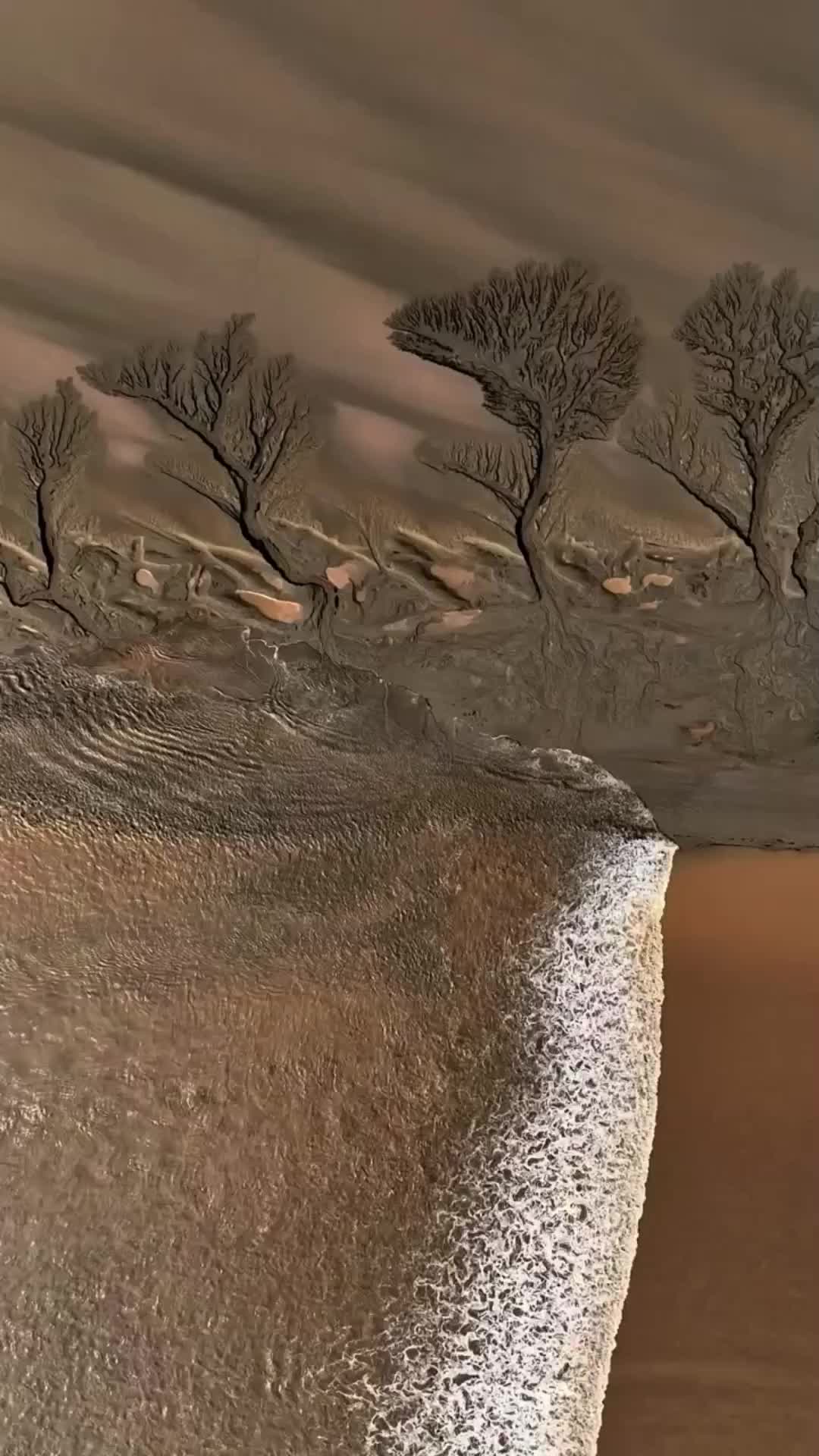 @Qmdsht999