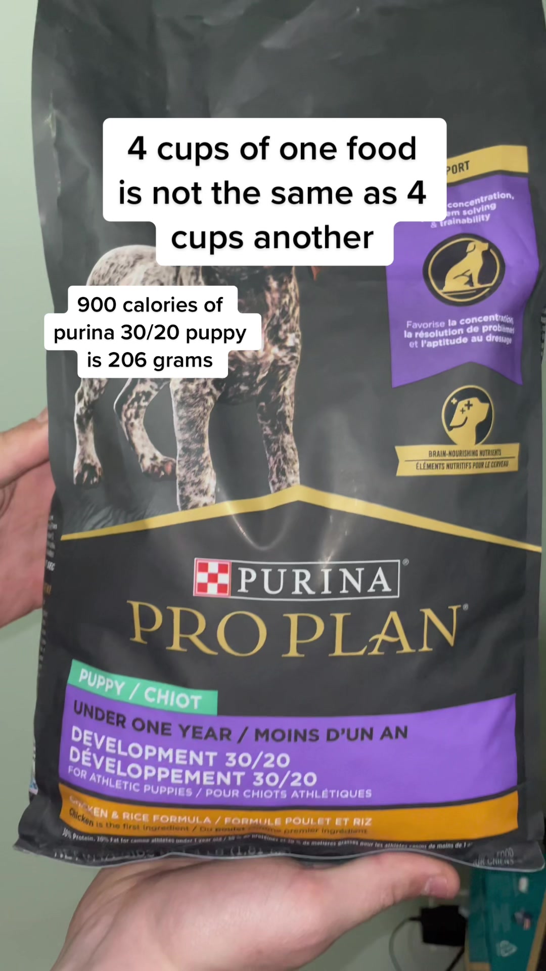 @rippNdune