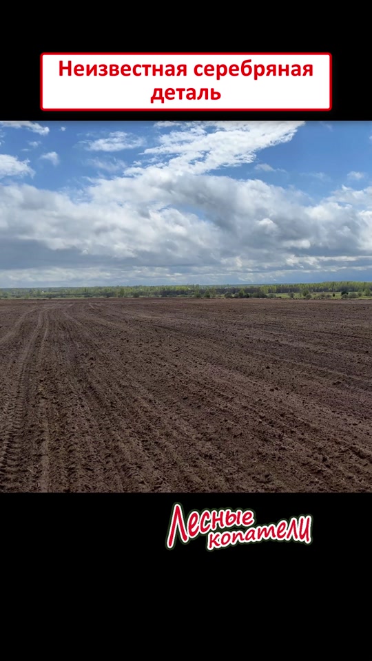 @Лесные Копатели