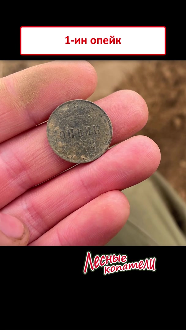 @Лесные Копатели
