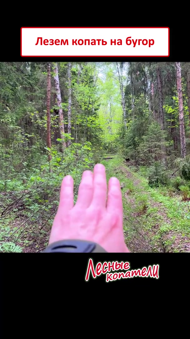 @Лесные Копатели