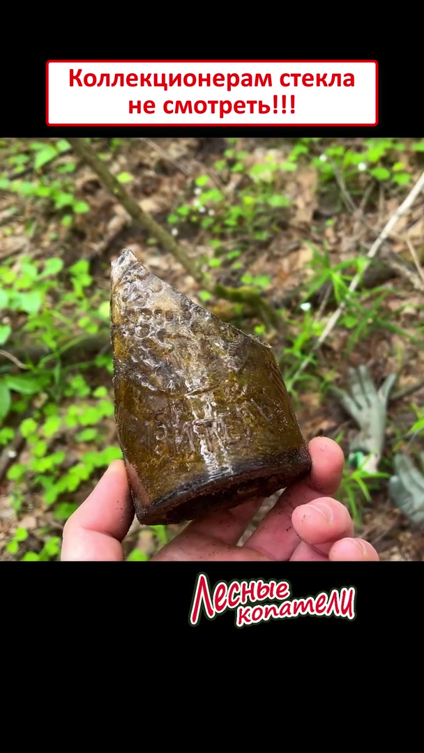 @Лесные Копатели