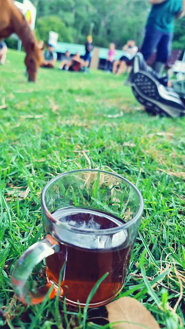 @G&uuml;liz Tunc Asil