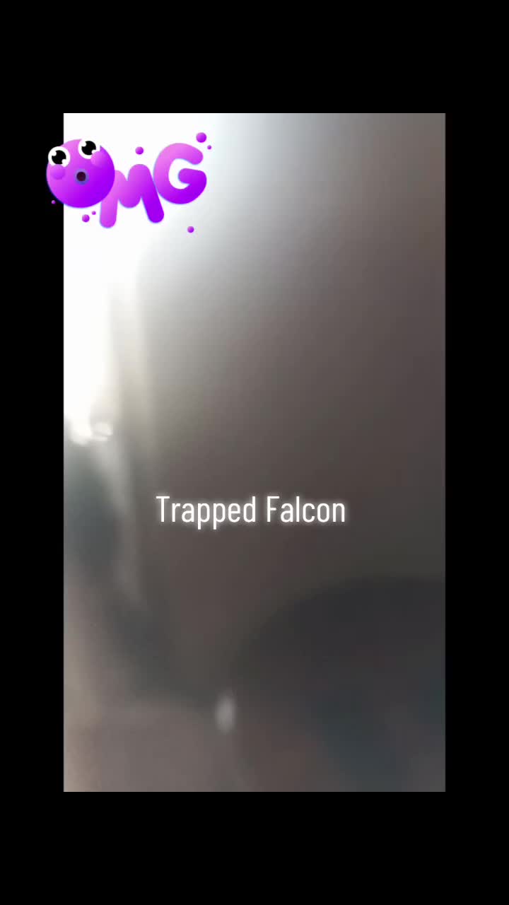 @DJ