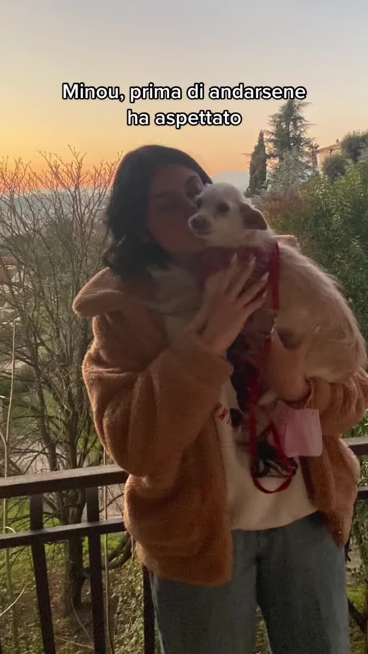 @Giulia Veccia