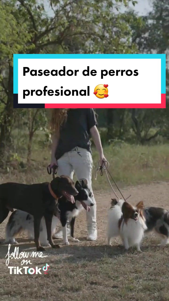 @delimascotas