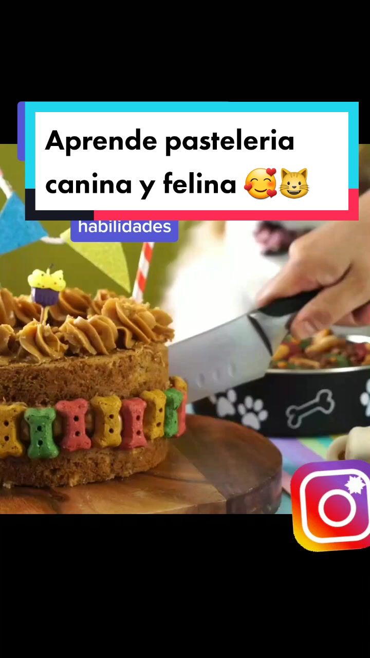 @delimascotas