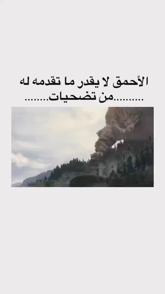 @Nour Shady