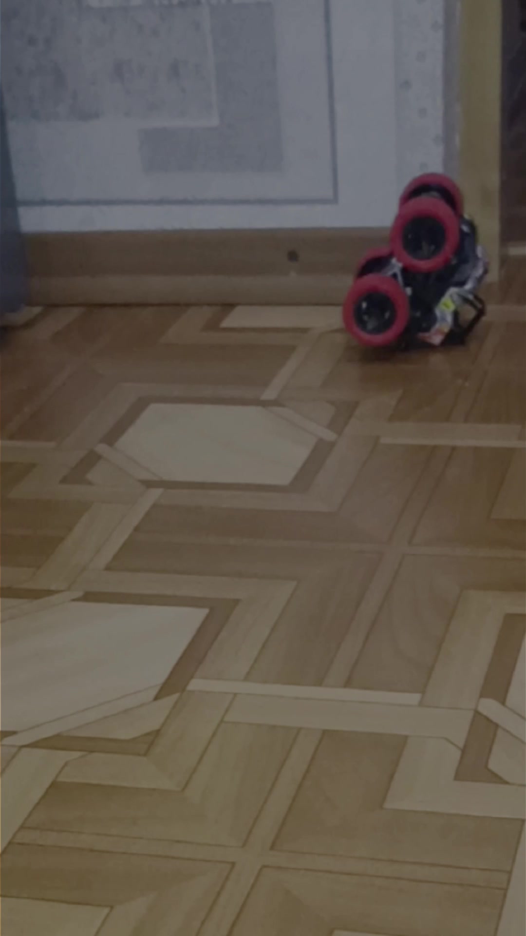 @ɗᥱᥴ᧐rᥲᴛi᧐ᥒ