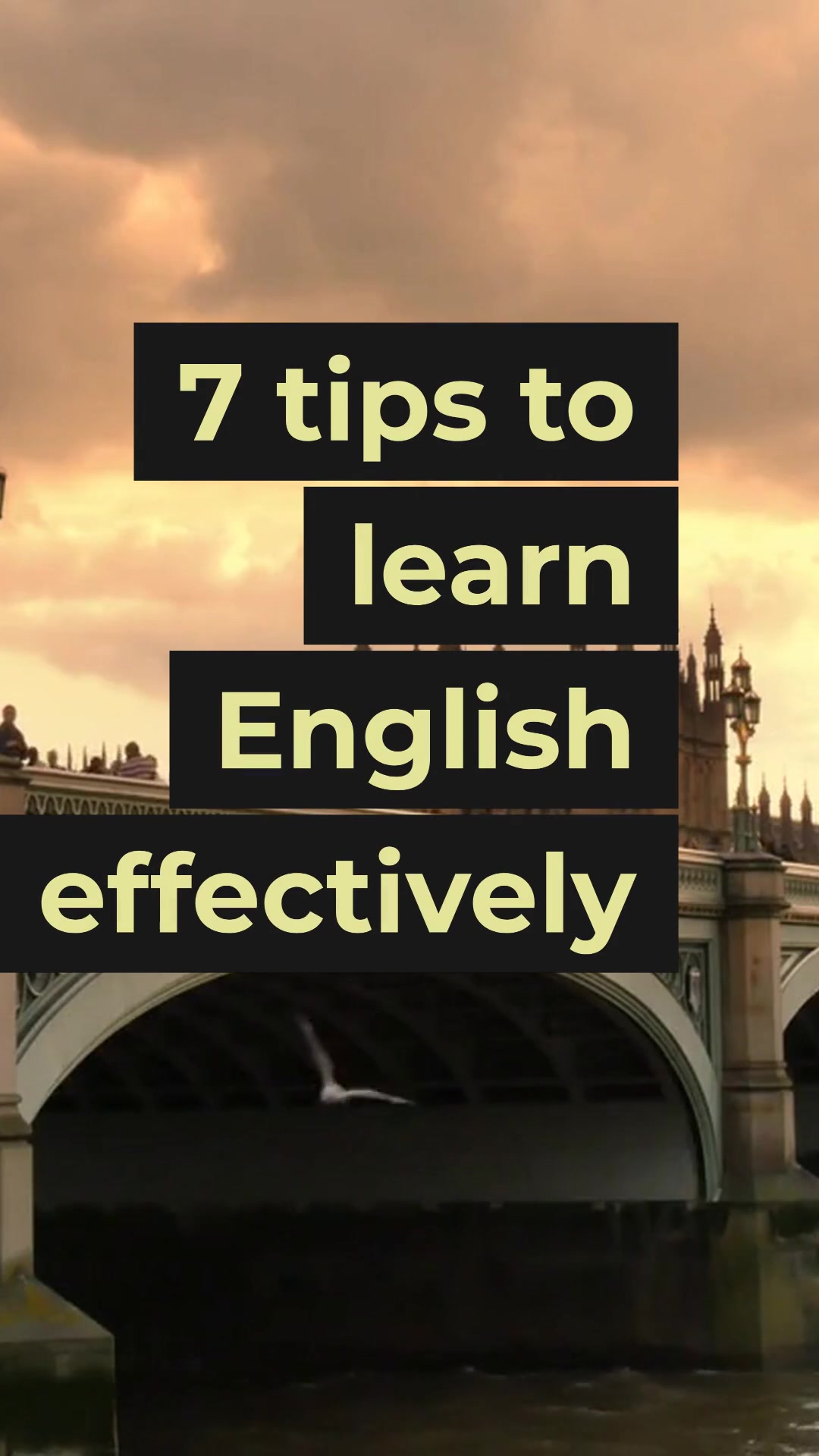 @TOP ONE ENGLISH