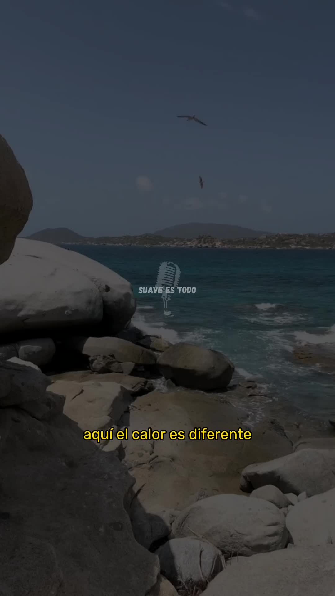 @SUAVE ES TODO