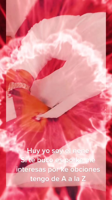 @Lucifer