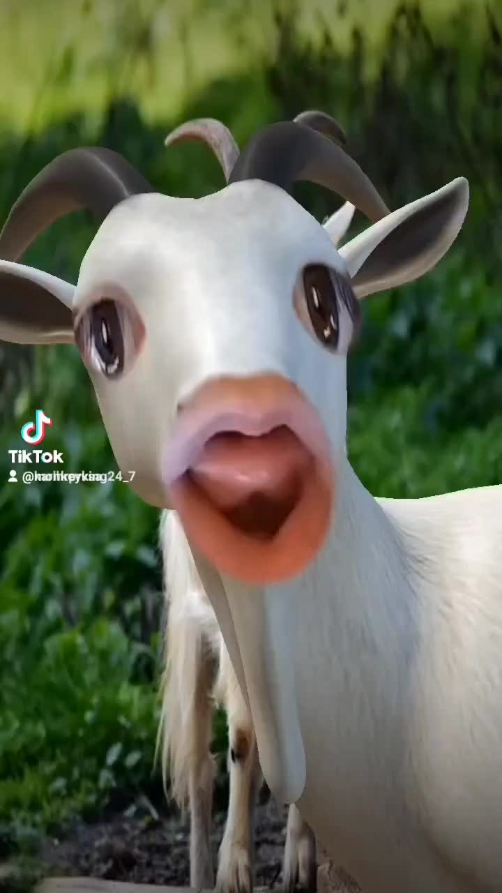 @contentkarl