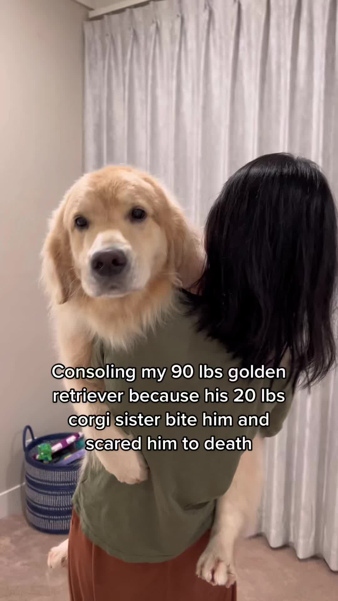 @Maui, Ruby +Hugo