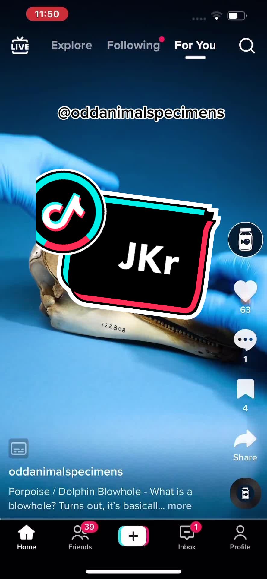 @ZeRO