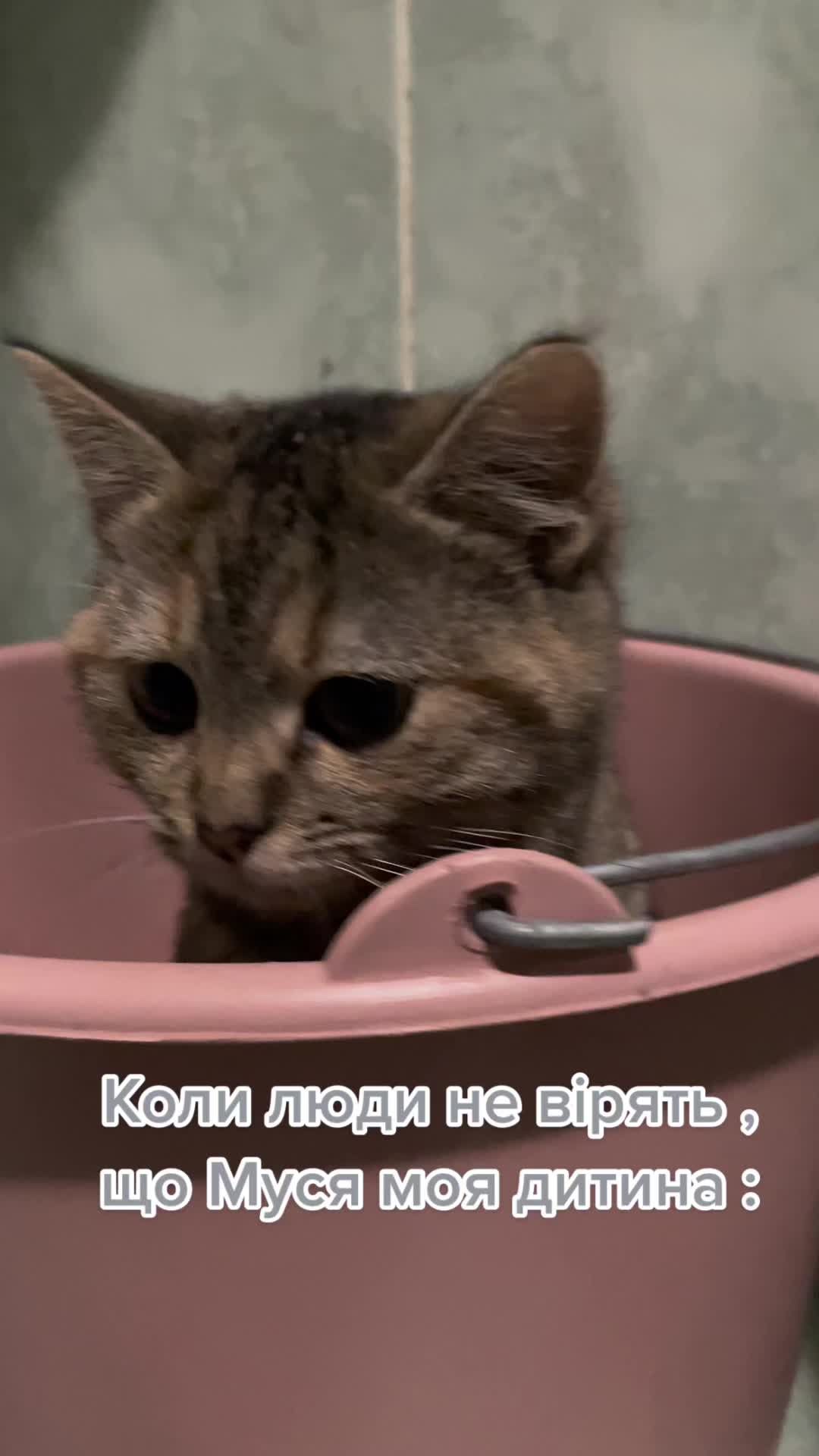 @Юля