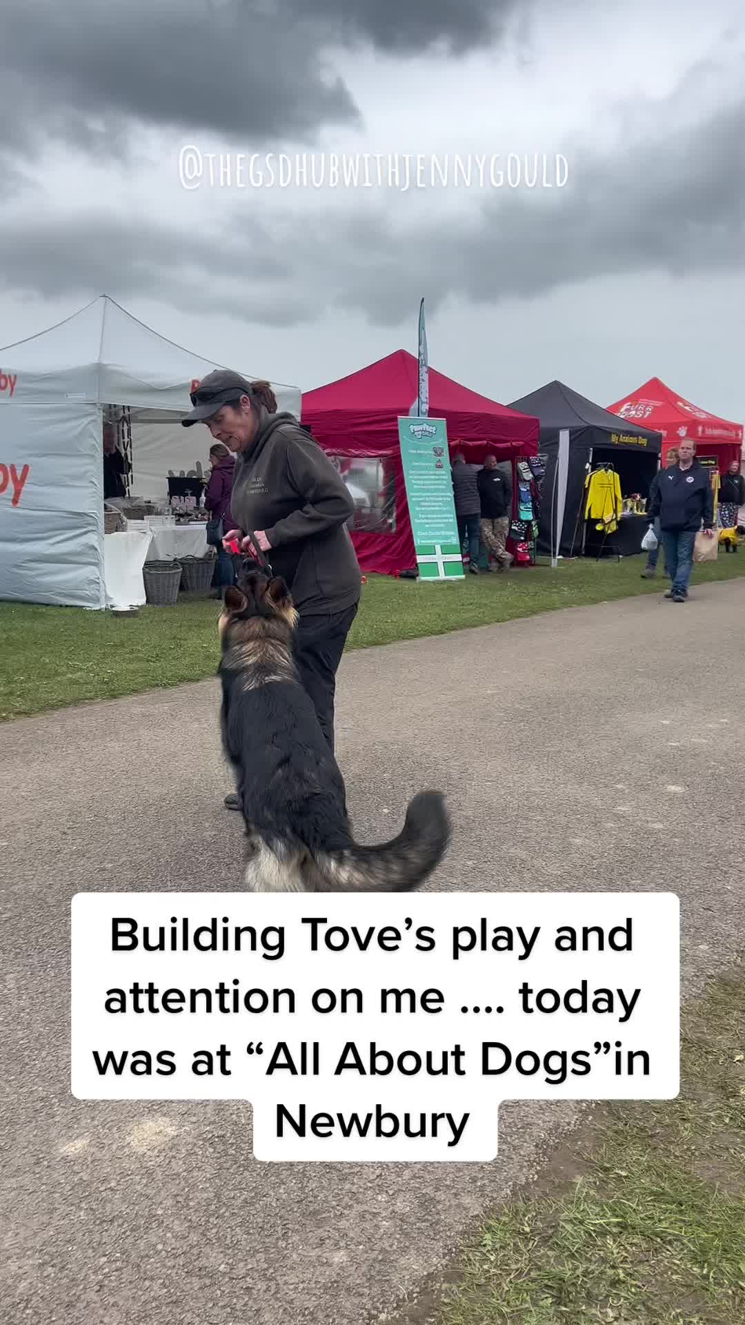 @TheGSDhubwithjennygould