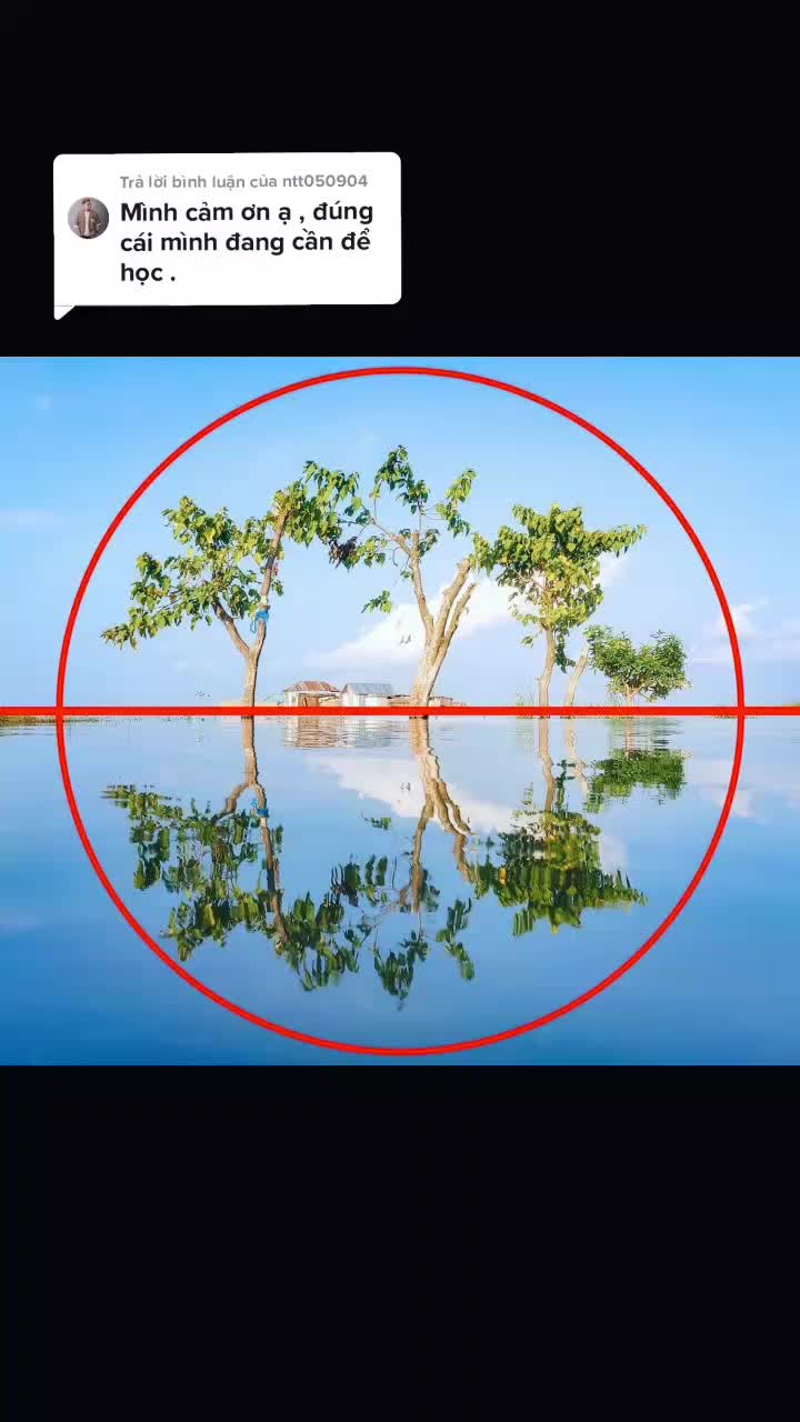 @Thắng M&aacute;y Ảnh Photography  📷