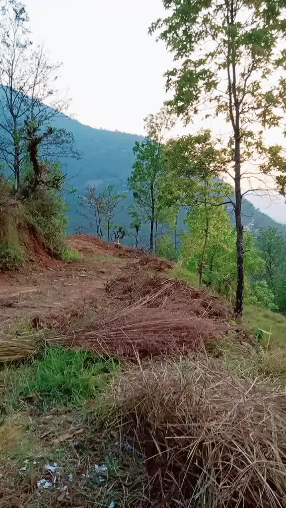 @Devi acharya