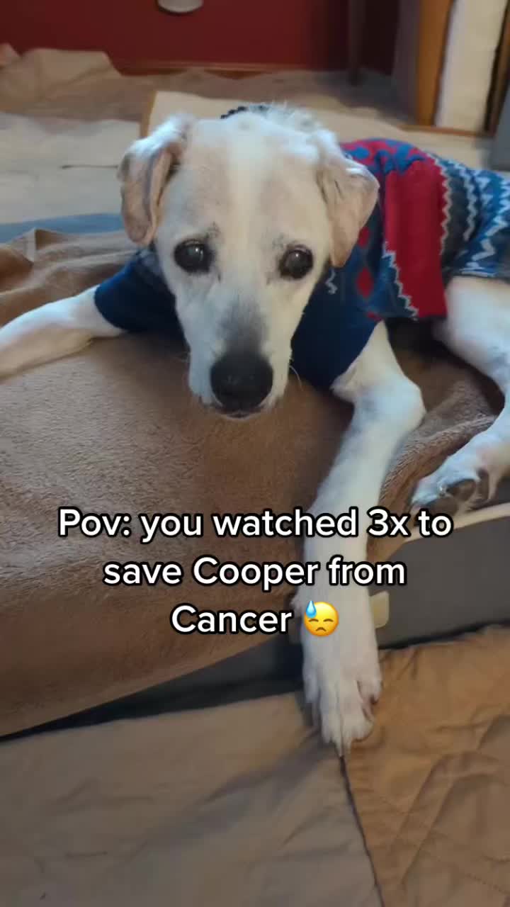 @PrayForCooper