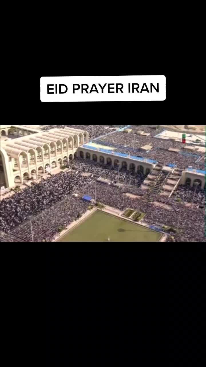@💪🇮🇷٣١٣