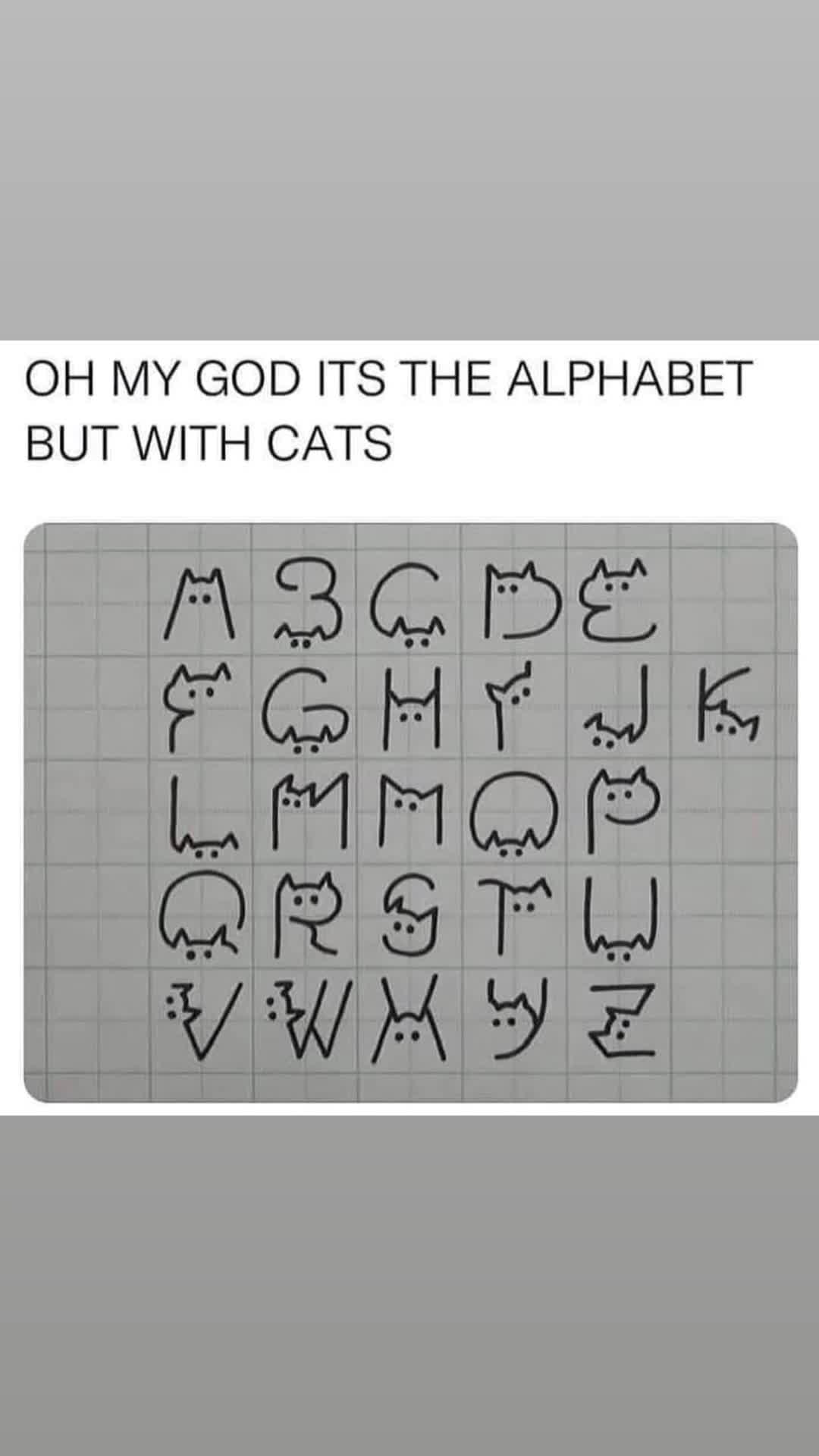 @Mo El Kitty Gato