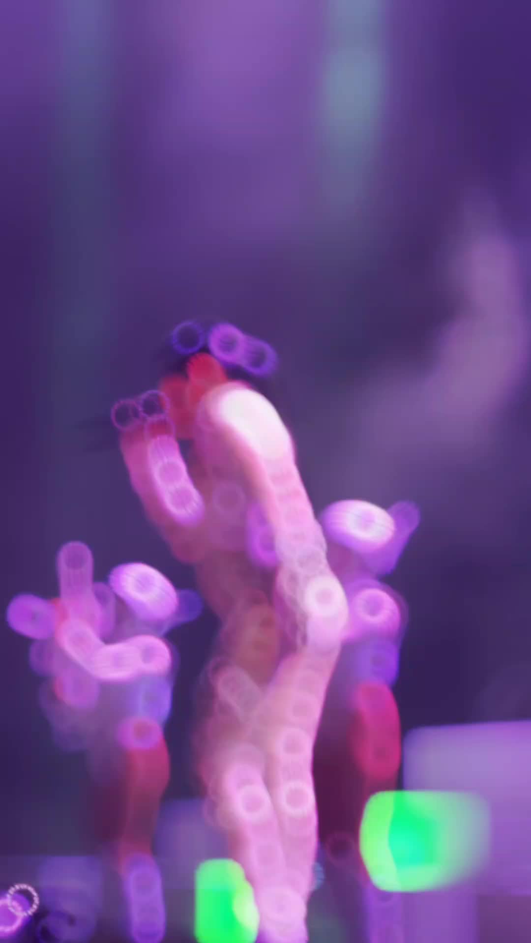 @💗