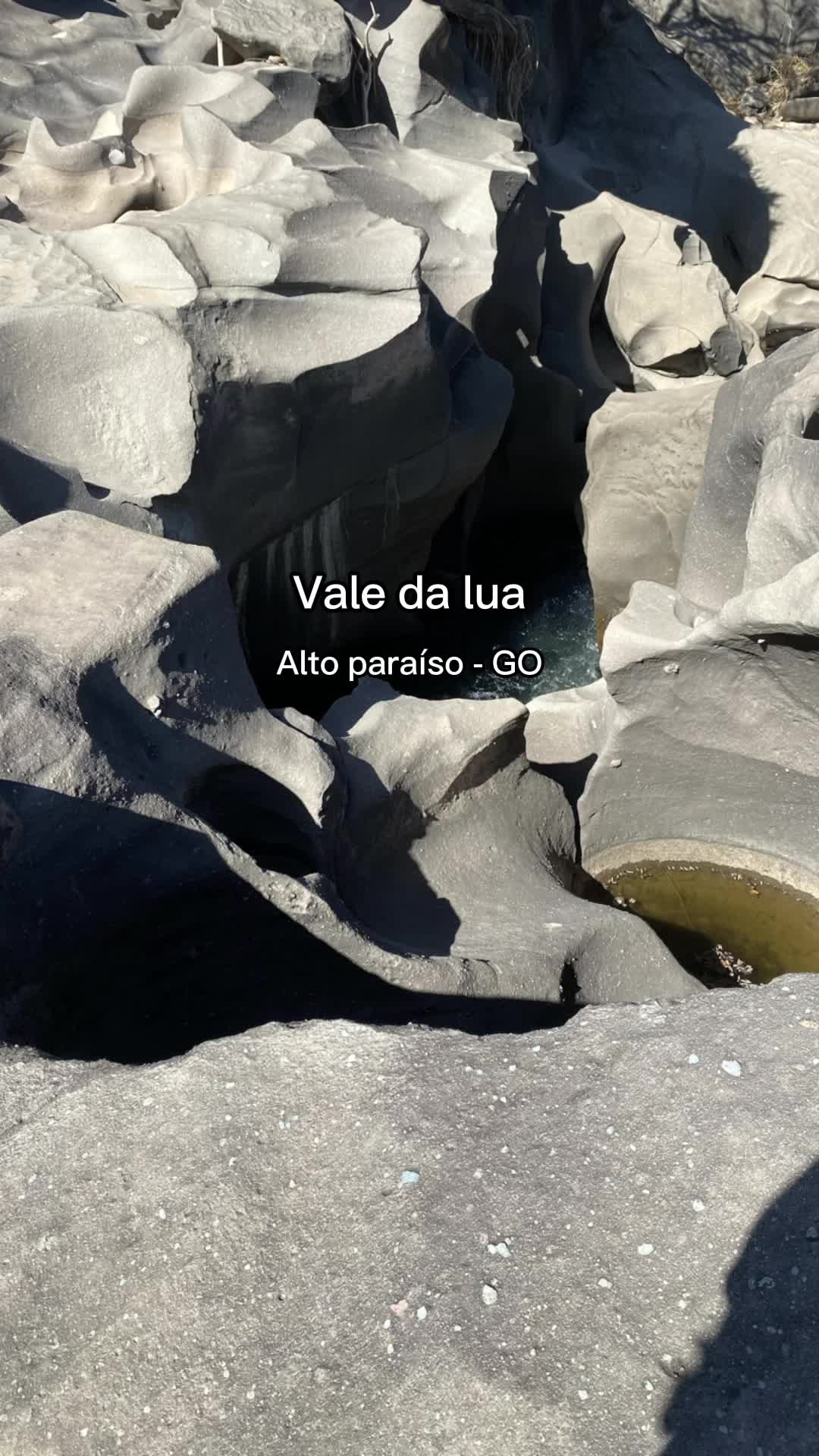 @Lais F. Kabbaz