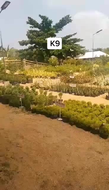 @rawhillyou