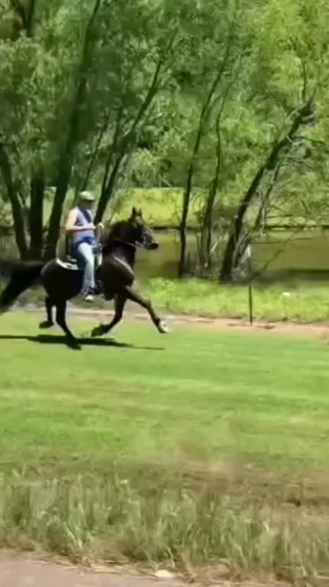 @Nəsimi__78