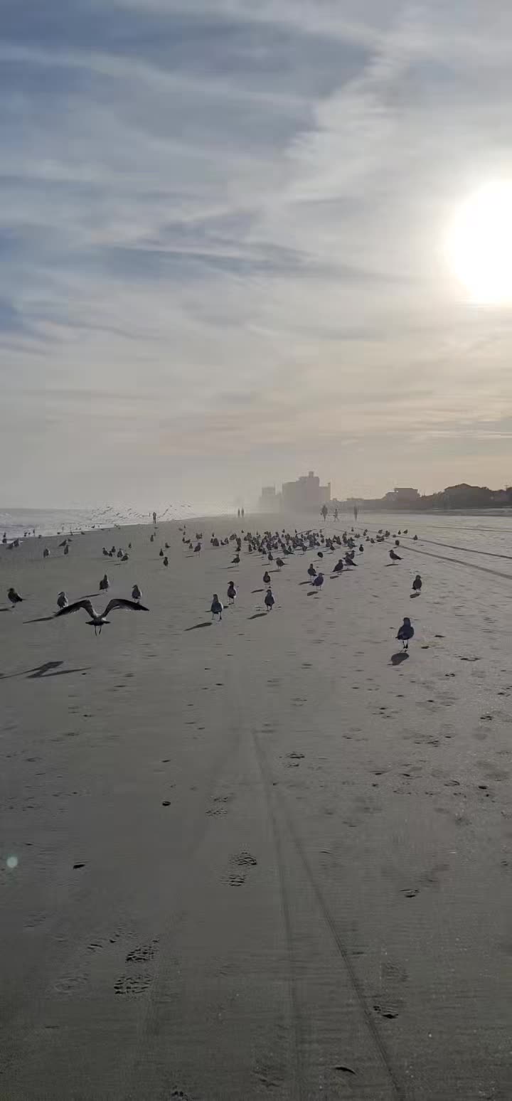 @Davina