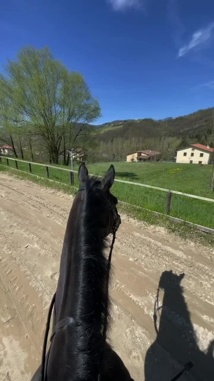 @giuli⭐️