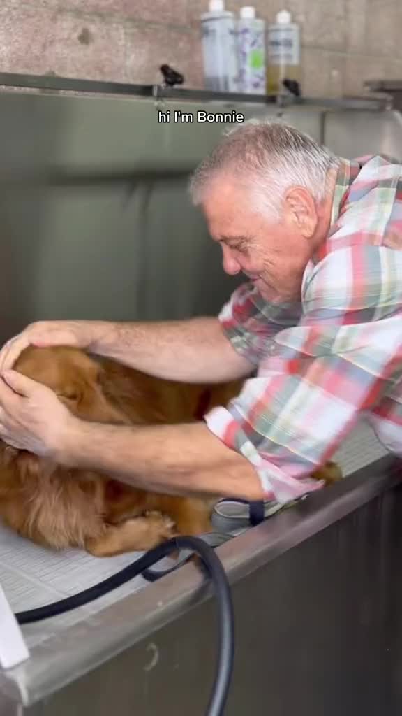 @Dogromat Pet Groomers