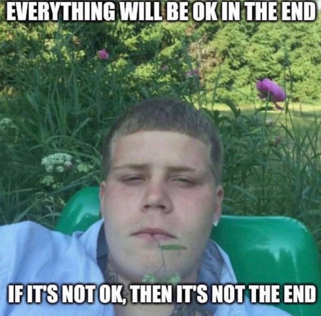 @BrandonXV
