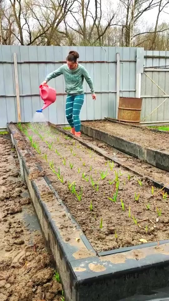 @garden.life