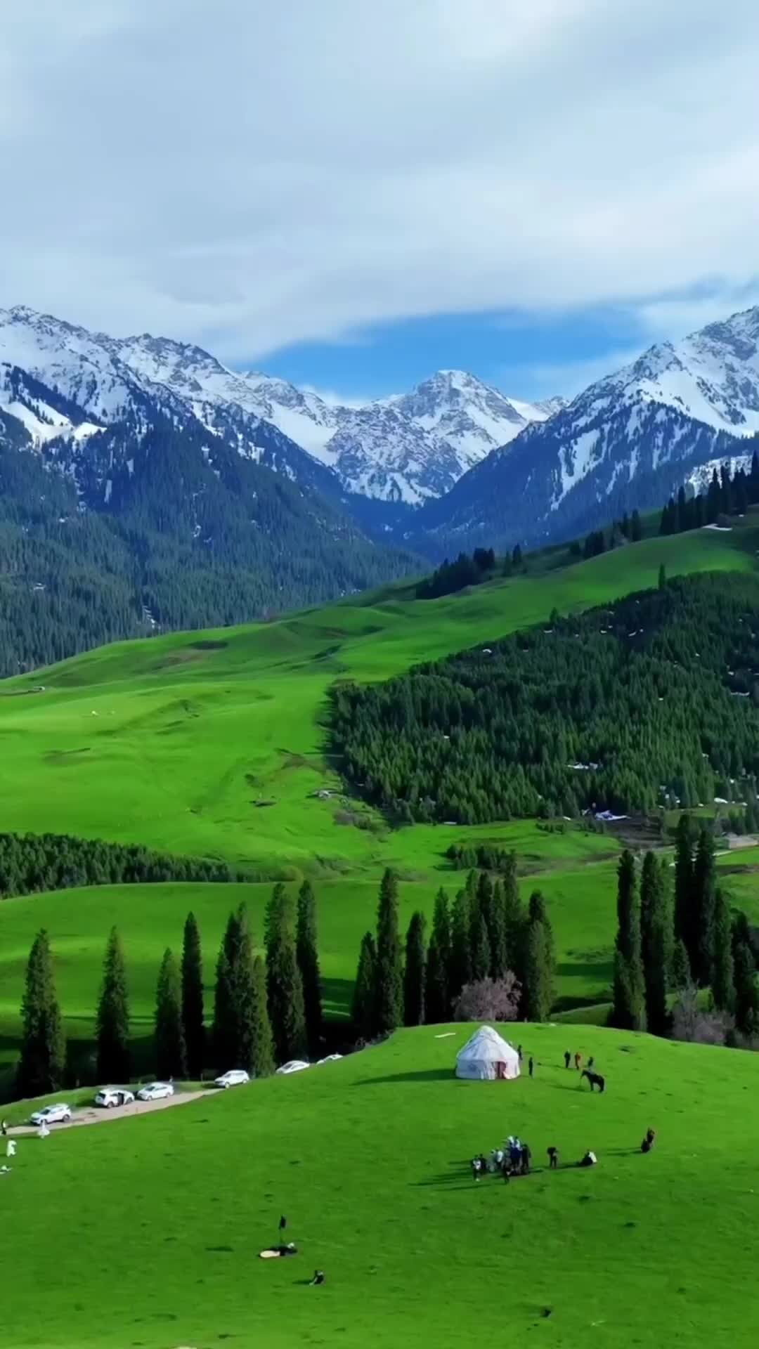 @Mark.bolo