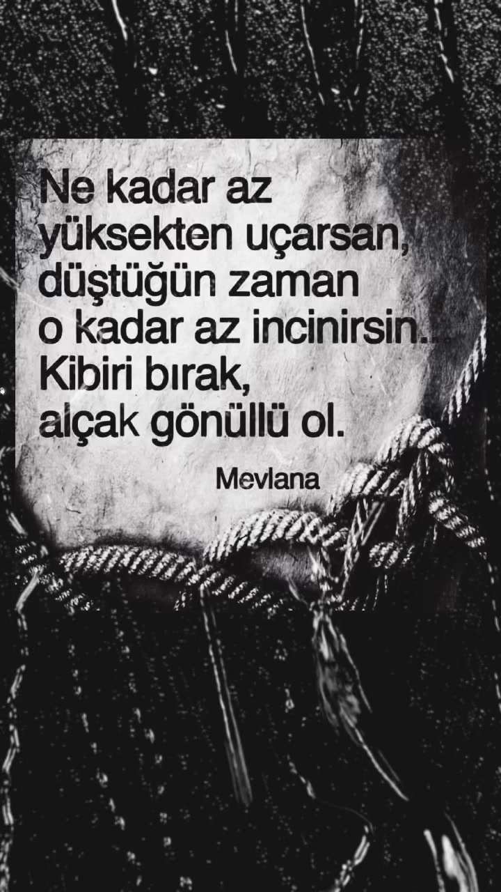 @emir_.3641