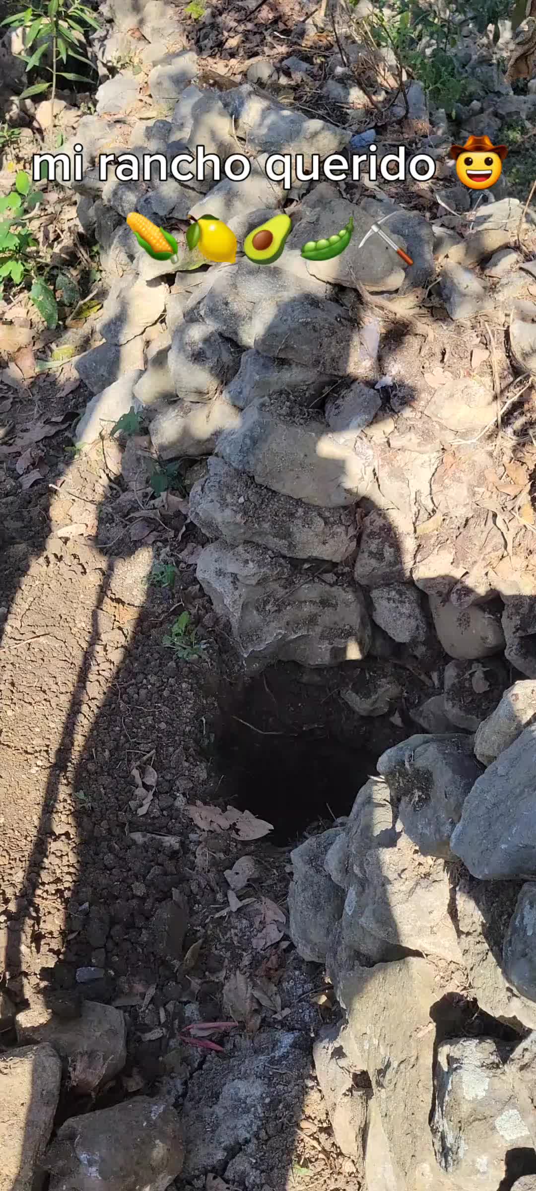 @fulgencio🤠