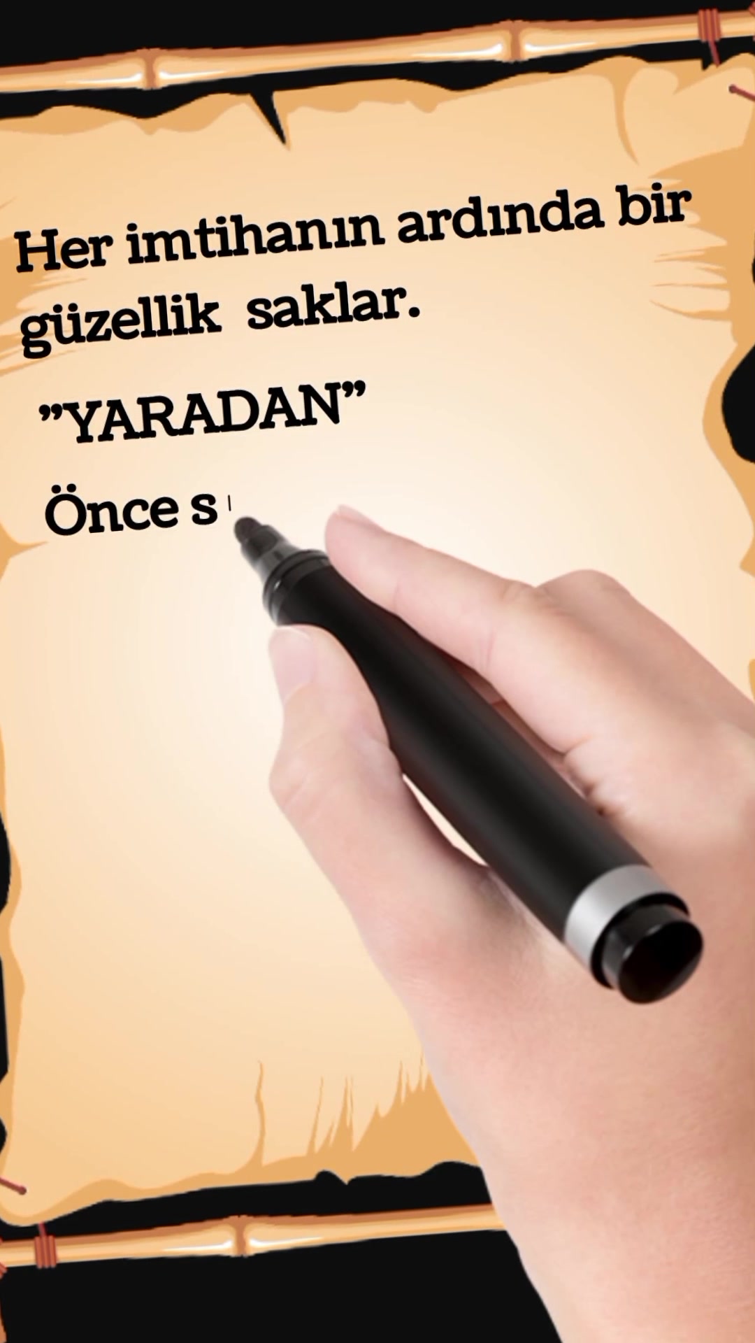 @kelebeğin d&uuml;nyası