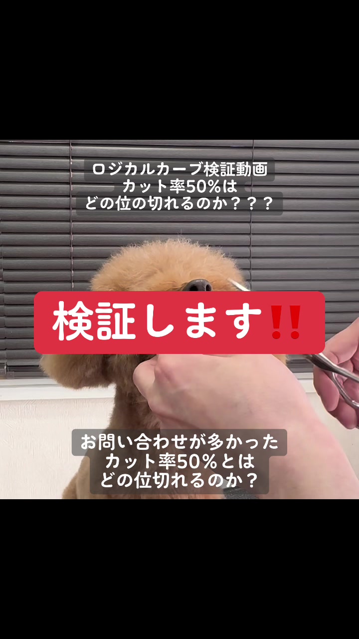 @Svans（スバンス）｜トリマー向けシザー&バリカン専門