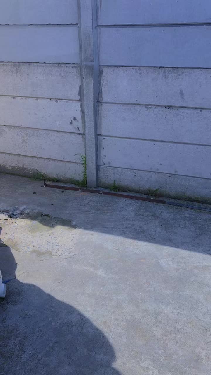 @Eldie 🇨🇩