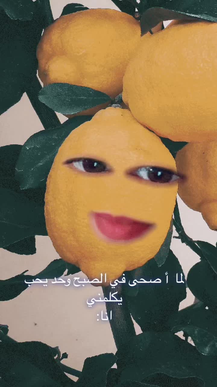 @🇲🇦🌸زهرة المغرب🌸🇲🇦