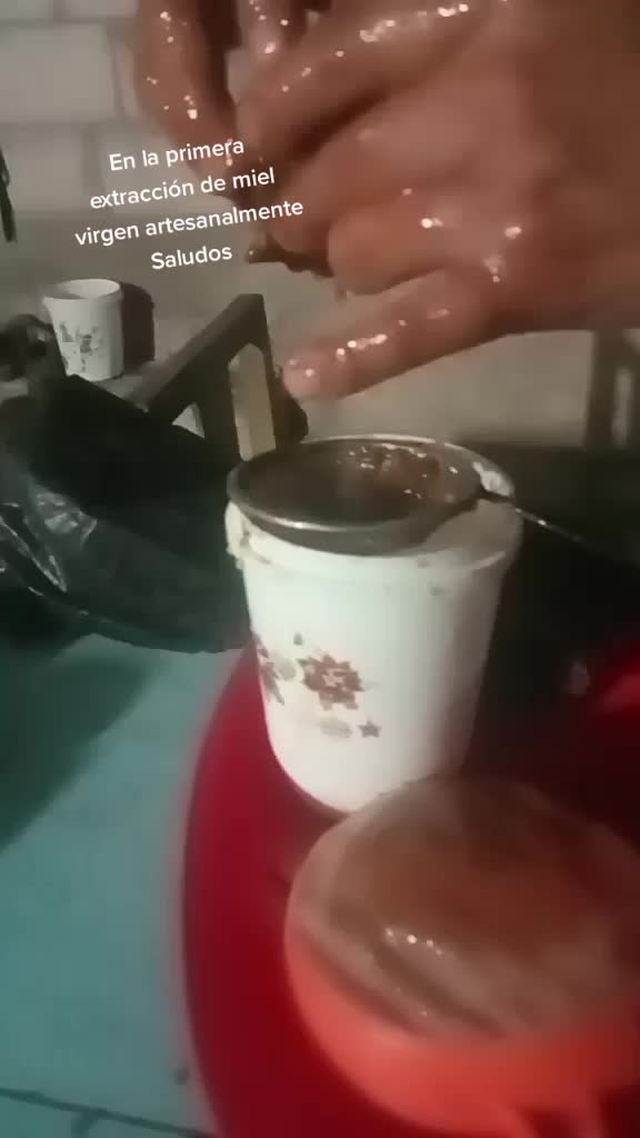 @🇲🇽𝒥𝓊𝓃𝒾𝑜𝓇𝓈𝟢𝟦𝟤𝟧🇲🇽