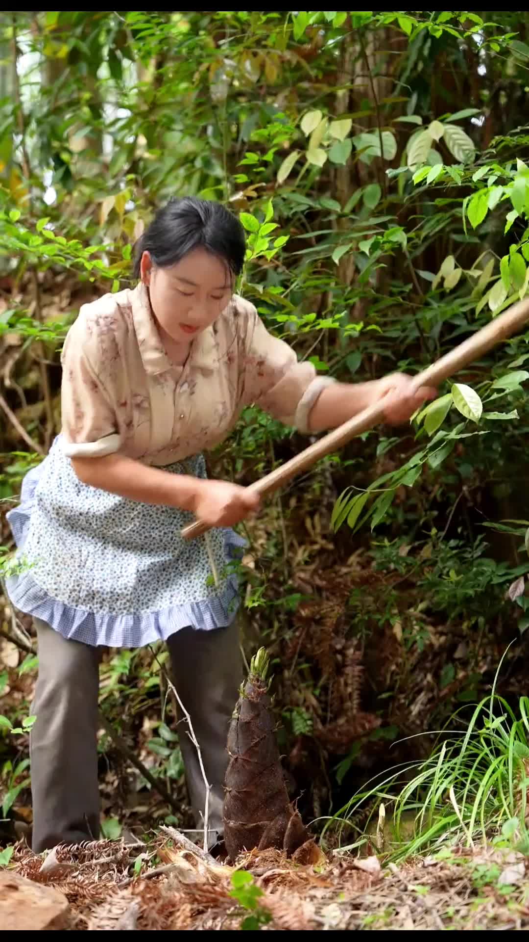 @Xiaotian