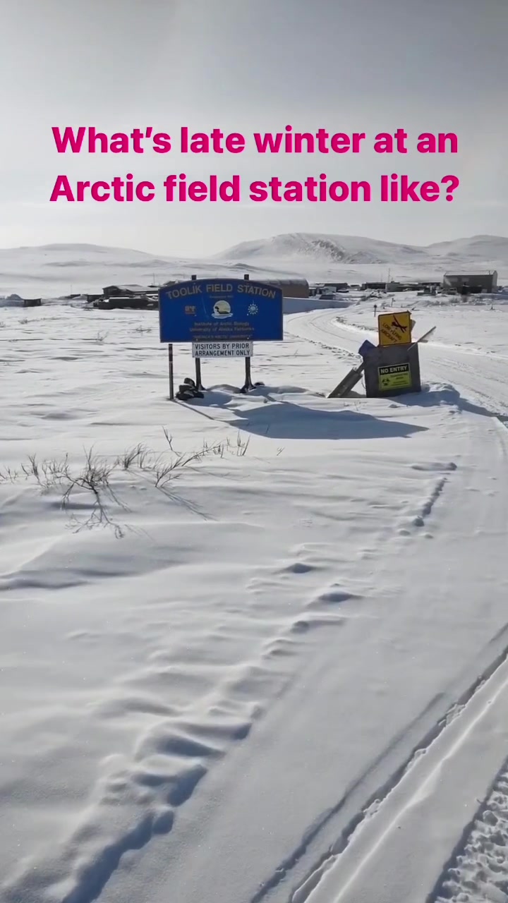 @Toolik Field Station