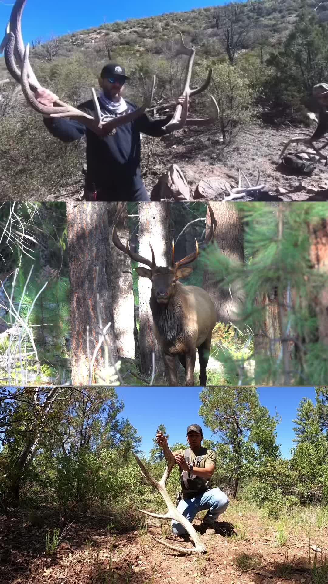 @whitemountainkrew