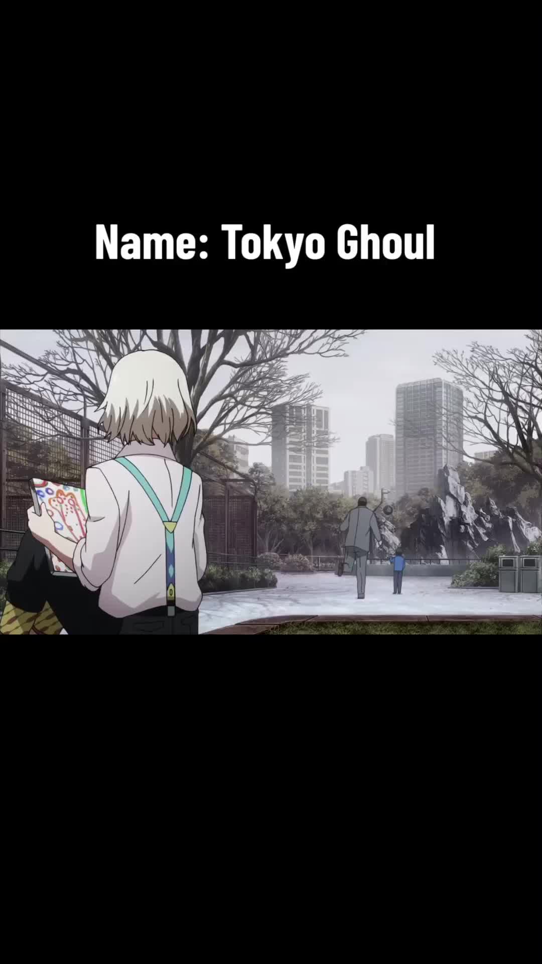@anime holder