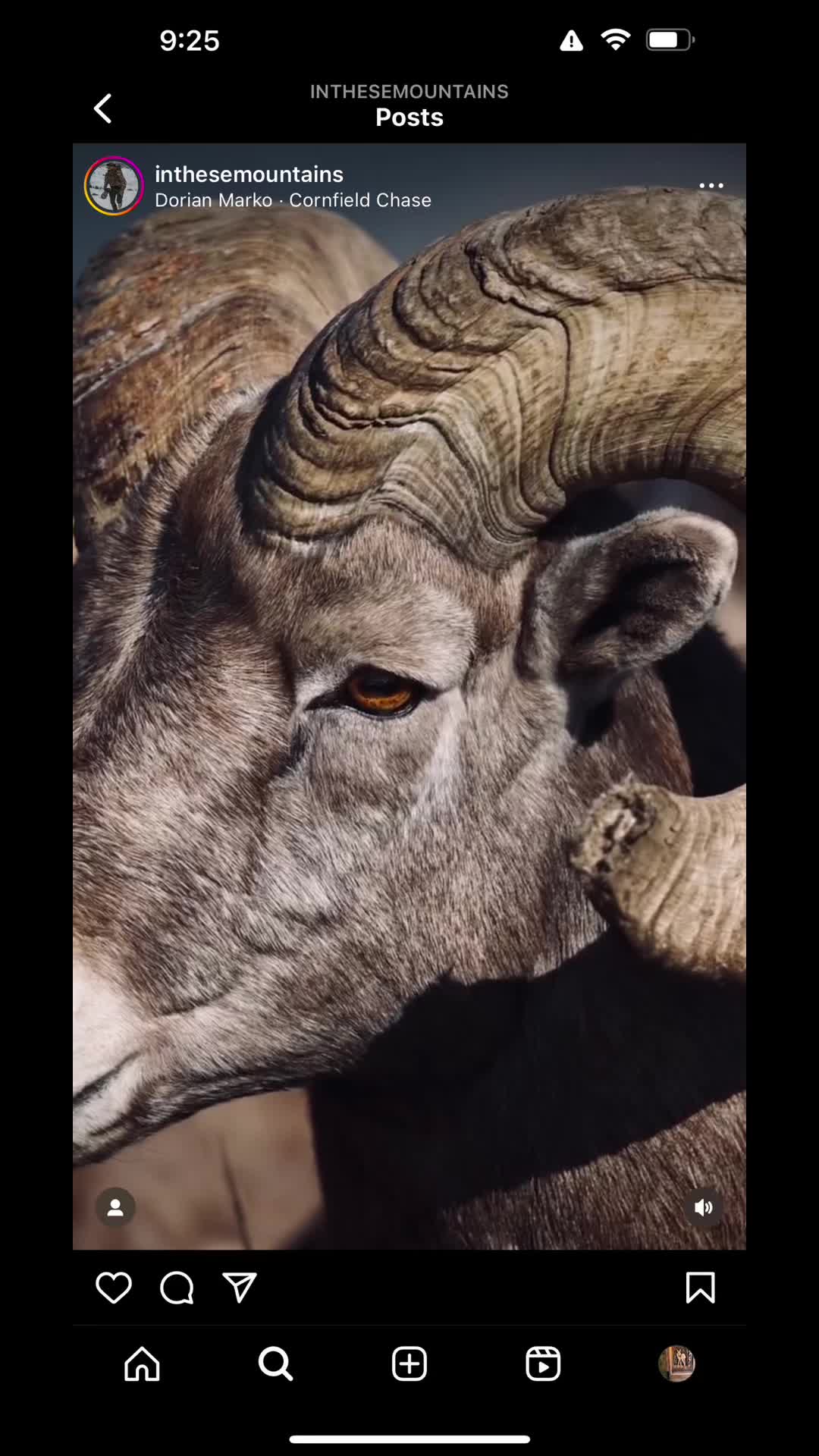 @The_Artisticone