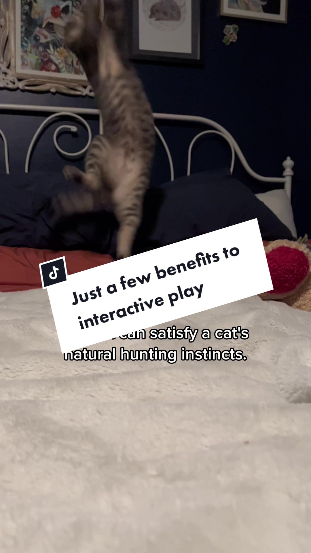 @Katlyn
